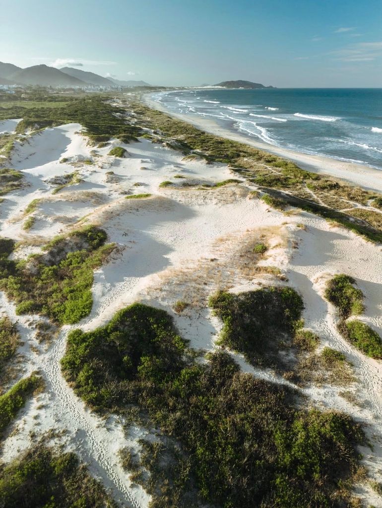 Beach aerial view